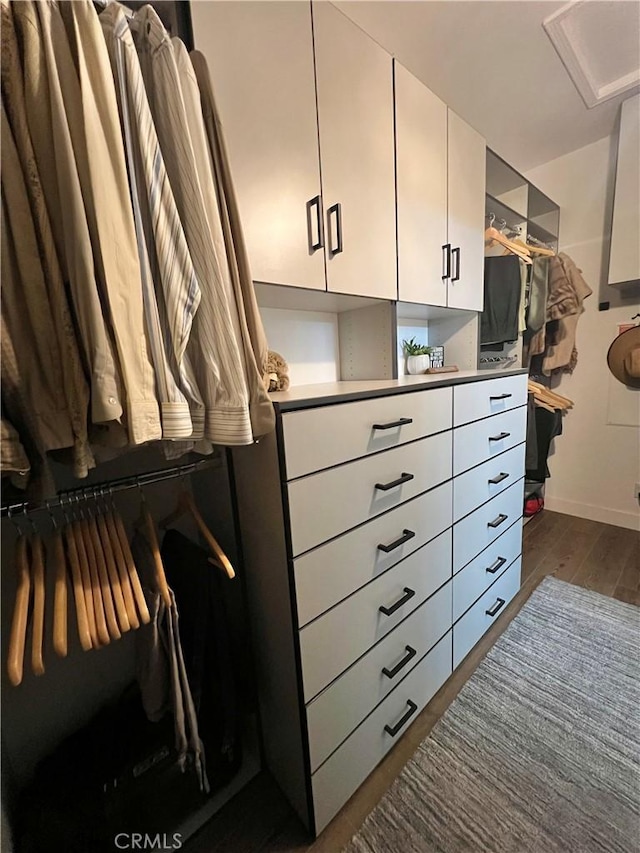 spacious closet featuring dark hardwood / wood-style floors