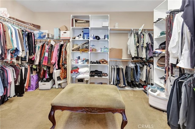 walk in closet with light colored carpet