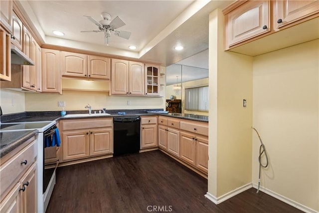 kitchen with dishwasher, sink, electric range, and light brown cabinetry