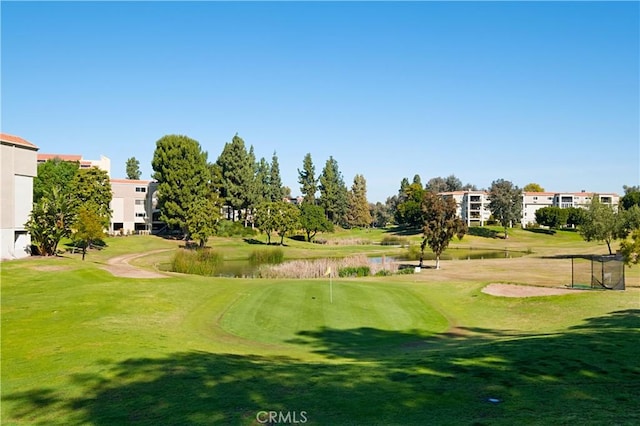 view of community featuring a yard