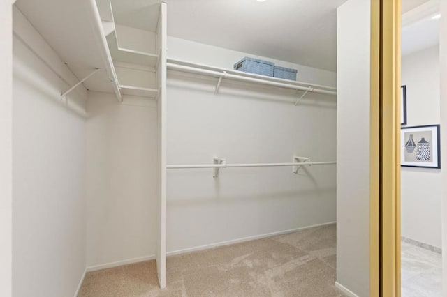 spacious closet featuring light colored carpet