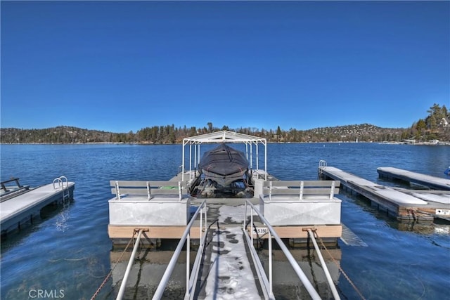 dock area featuring a water view