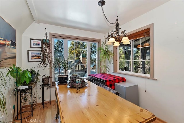 dining room with wood-type flooring and a chandelier