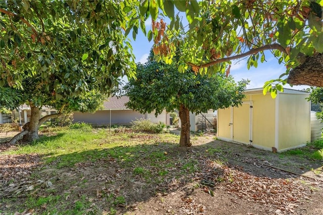 view of yard with a storage unit