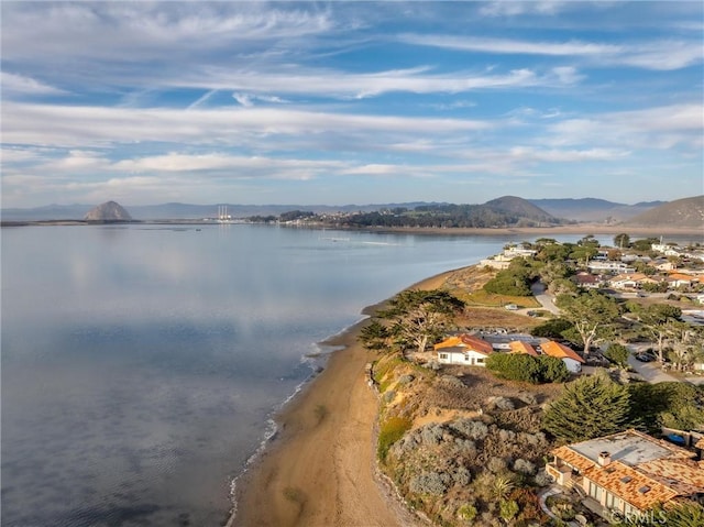 bird's eye view featuring a water and mountain view