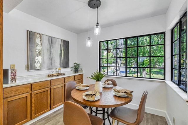 dining room with light hardwood / wood-style flooring