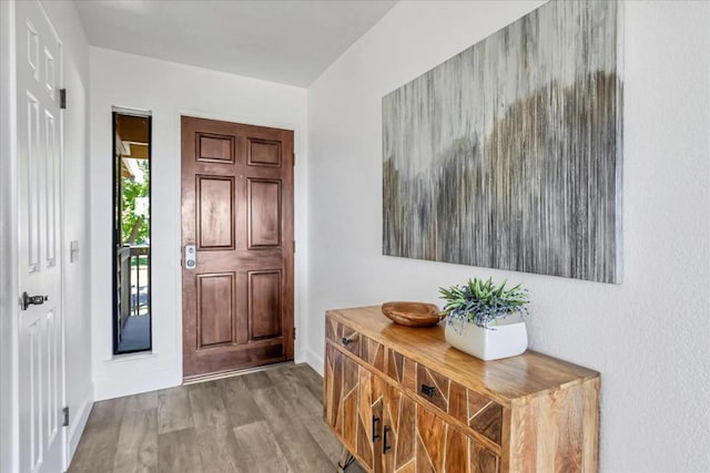 entrance foyer with light hardwood / wood-style floors