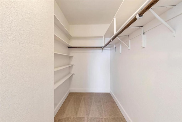 spacious closet with carpet floors