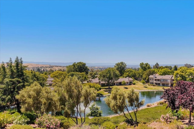 water view featuring a mountain view