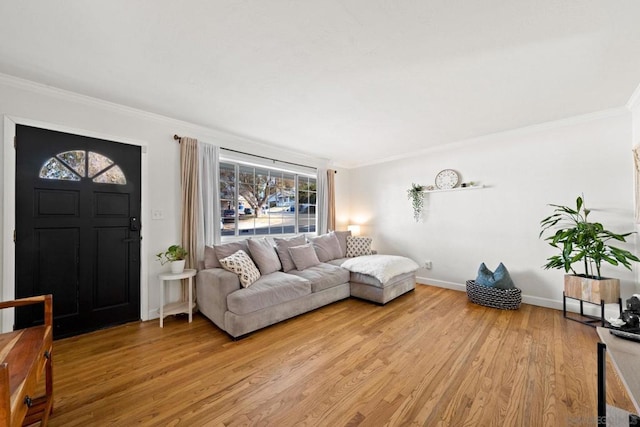 living room with ornamental molding and light hardwood / wood-style flooring