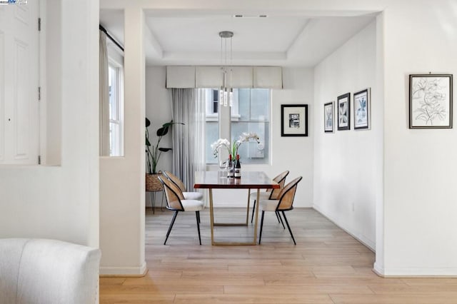 dining room with light hardwood / wood-style flooring