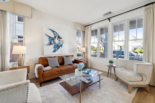 living room featuring hardwood / wood-style floors