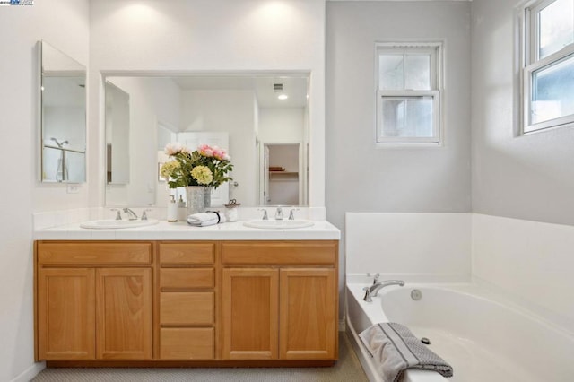 bathroom with vanity and a washtub