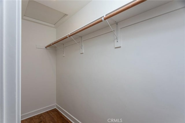 walk in closet featuring dark wood-type flooring