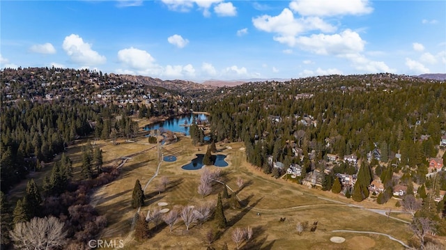 drone / aerial view featuring a water and mountain view and a view of trees