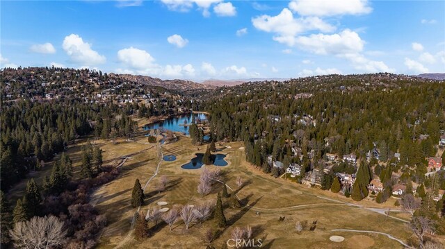 26834 Huron Rd, Lake Arrowhead, CA 92352 - photo 35