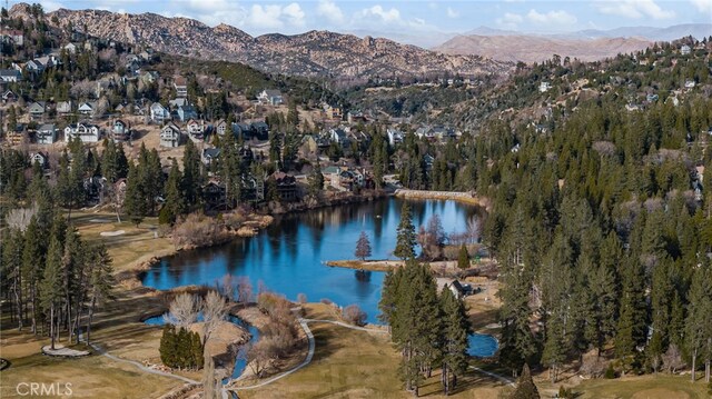 26834 Huron Rd, Lake Arrowhead, CA 92352 - photo 36