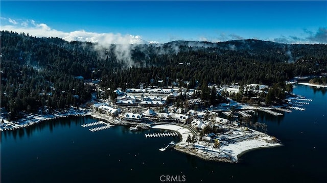 birds eye view of property featuring a forest view and a water view