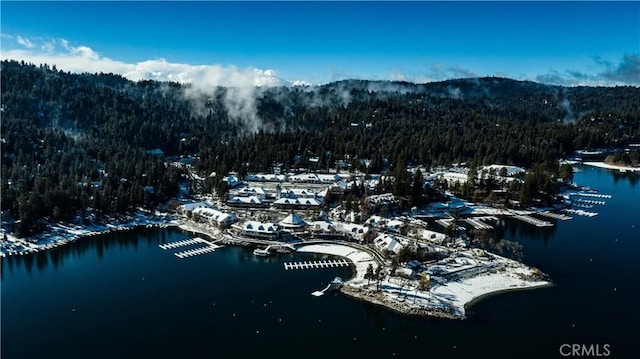 26834 Huron Rd, Lake Arrowhead, CA 92352 - bird's eye view of a heavily wooded area and a water and mountain view