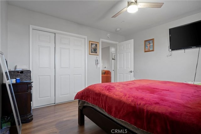 bedroom with ceiling fan, hardwood / wood-style floors, and a closet