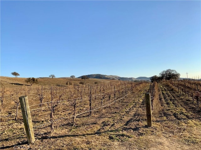 view of yard with a rural view