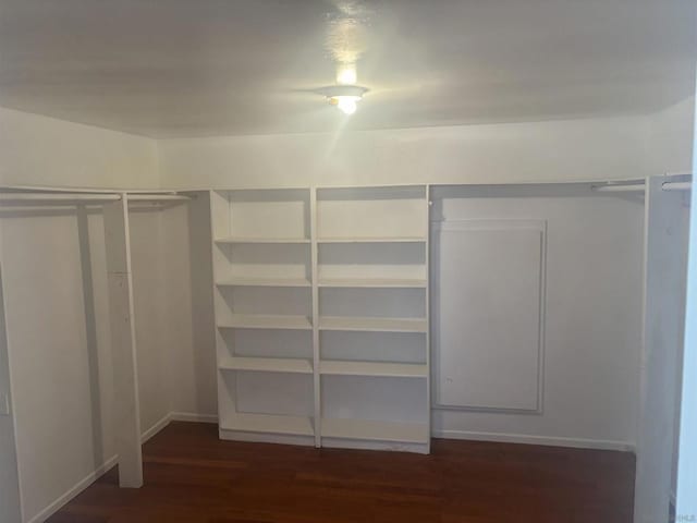 spacious closet with dark hardwood / wood-style flooring