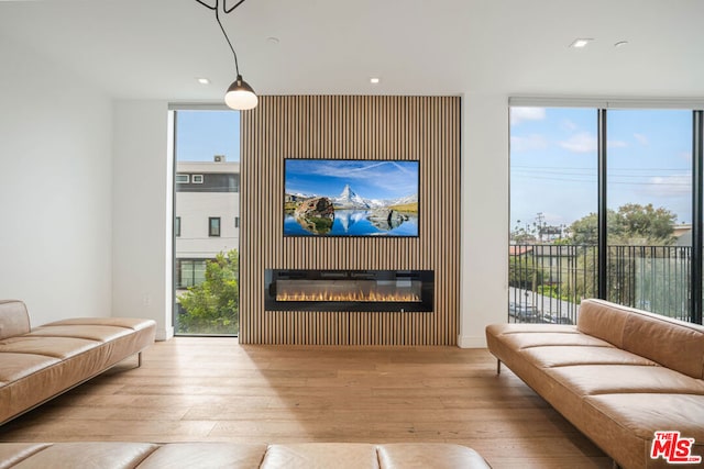 living room featuring light wood-type flooring