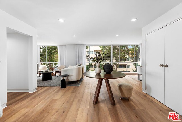 living room featuring a wall of windows, a healthy amount of sunlight, and light wood-type flooring