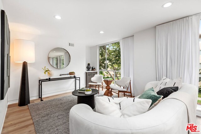 living room featuring a wall of windows and light hardwood / wood-style flooring