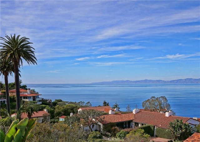 water view with a mountain view