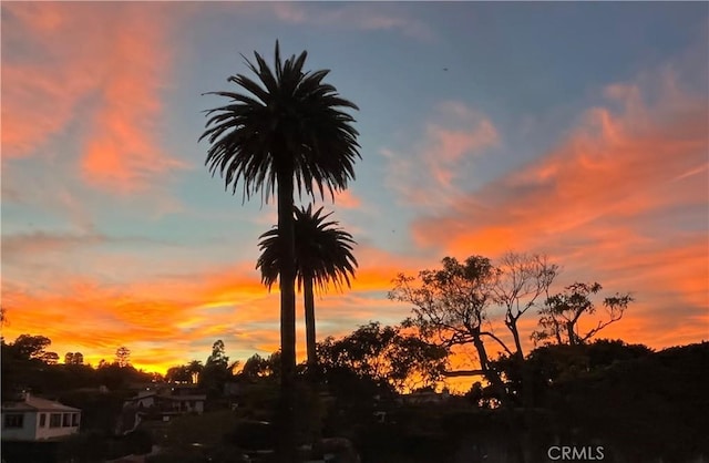 view of nature at dusk