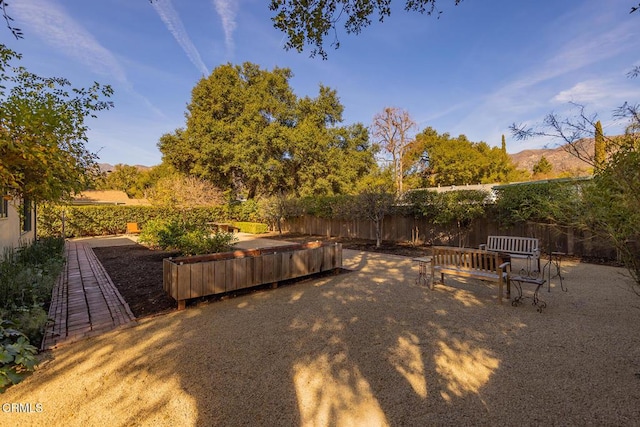 view of yard with a patio area