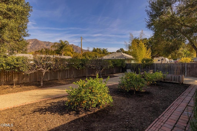 view of yard with a mountain view and a patio area