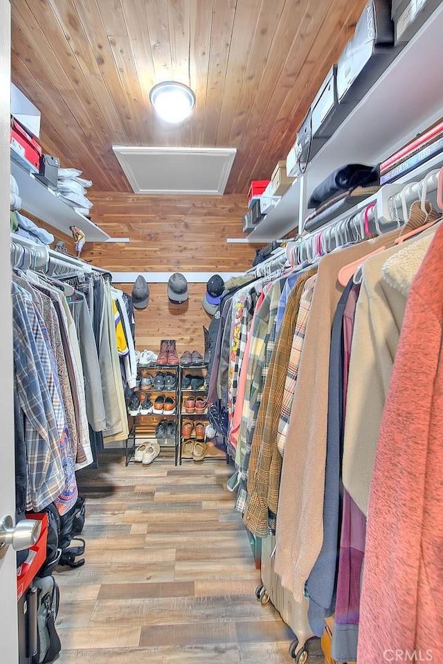 spacious closet with wood-type flooring