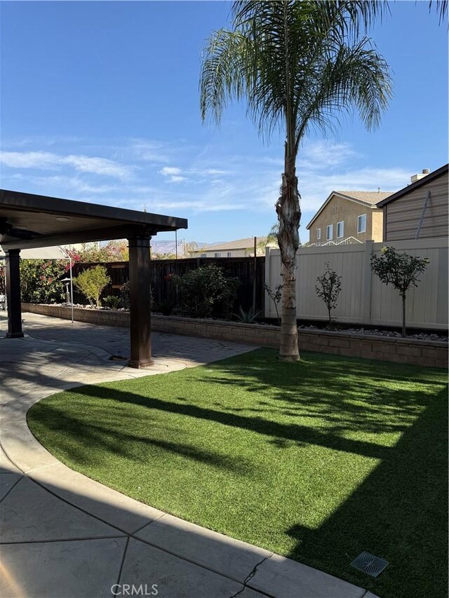 view of yard featuring a patio