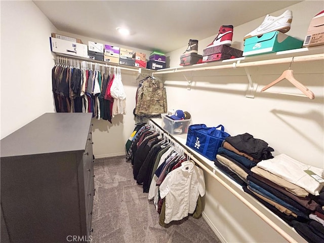 walk in closet with carpet