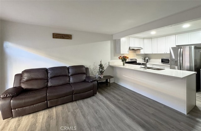 living room featuring hardwood / wood-style flooring and sink