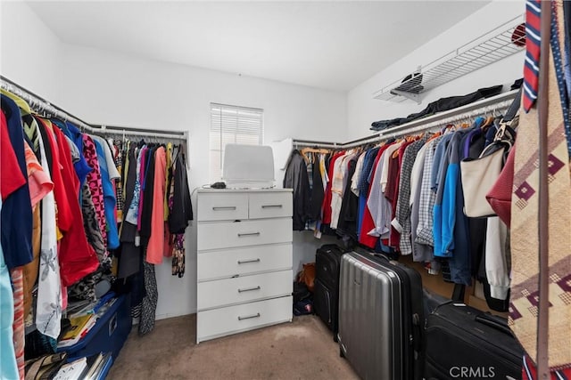 view of spacious closet