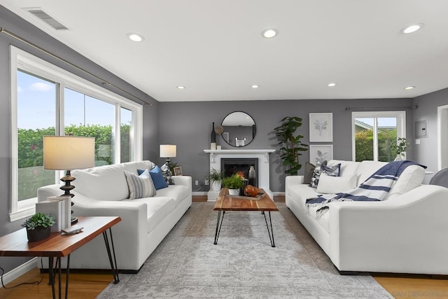 living room featuring light hardwood / wood-style floors