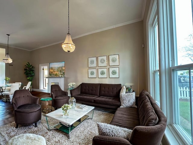 living room with crown molding, hardwood / wood-style floors, and a wealth of natural light