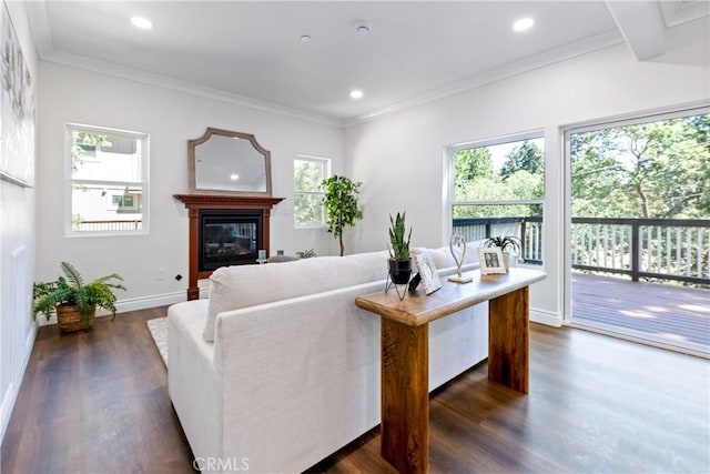 370 Auburn Dr, Lake Arrowhead, CA 92352 - living room with plenty of natural light, dark wood finished floors, a glass covered fireplace, ornamental molding, and recessed lighting