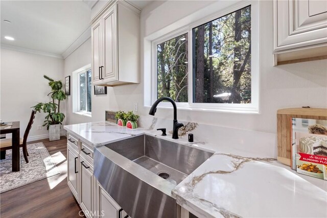 kitchen with sink, crown molding, dark wood-type flooring, light stone countertops, and white cabinets