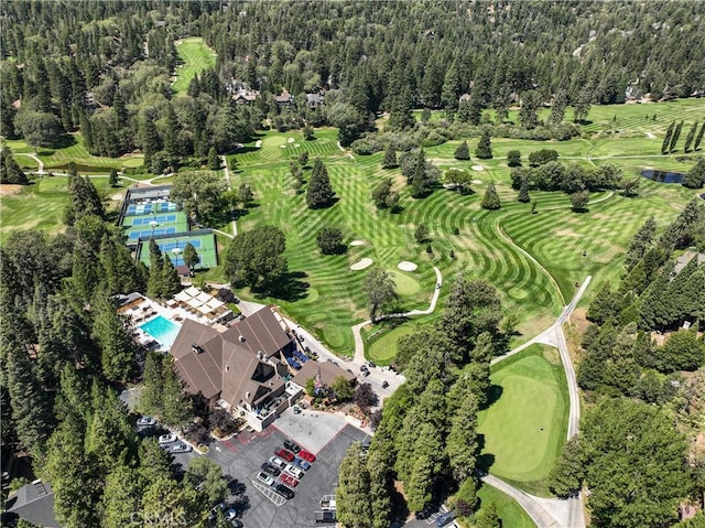 370 Auburn Dr, Lake Arrowhead, CA 92352 - drone / aerial view of a golf course