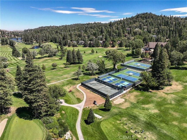 370 Auburn Dr, Lake Arrowhead, CA 92352 - bird's eye view of a golf course