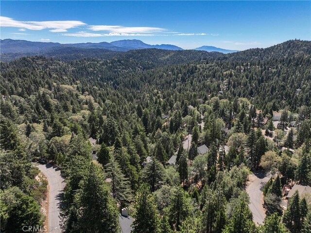 bird's eye view featuring a mountain view