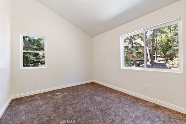 spare room featuring lofted ceiling and carpet flooring