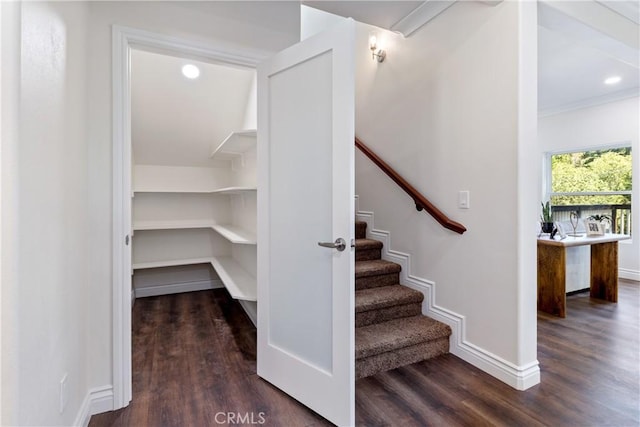 stairs featuring crown molding and hardwood / wood-style floors