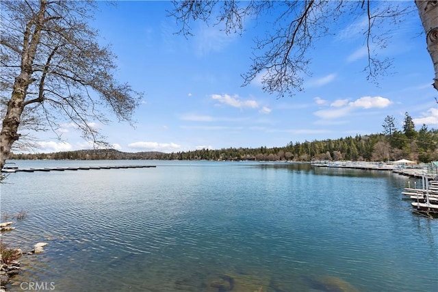 370 Auburn Dr, Lake Arrowhead, CA 92352 - water view