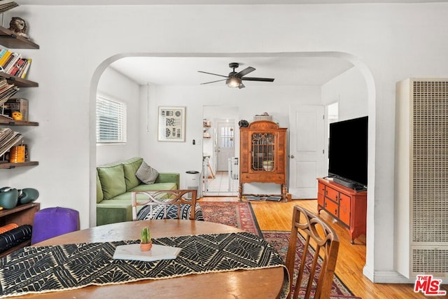 living room with ceiling fan and light wood-type flooring