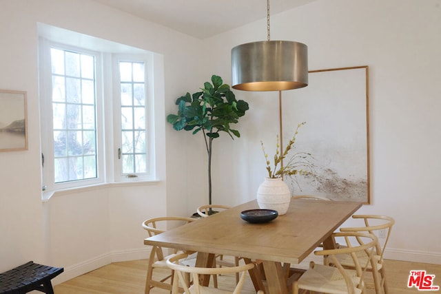 dining room with a wealth of natural light and light wood-type flooring